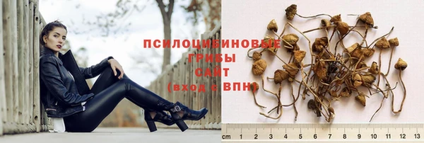 спиды Беломорск