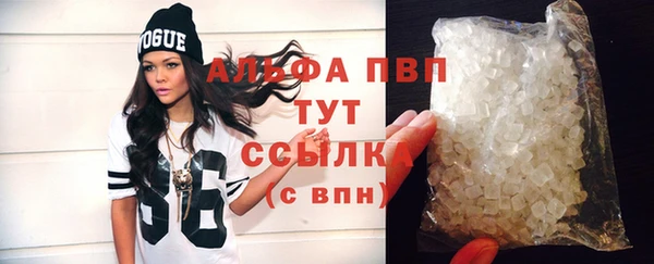 PSILOCYBIN Белокуриха