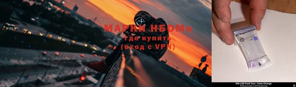 PSILOCYBIN Белокуриха