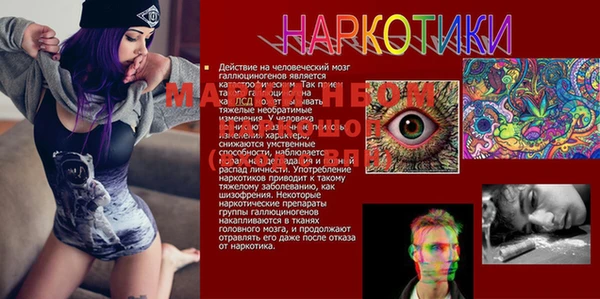спиды Беломорск