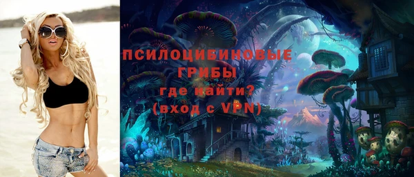 PSILOCYBIN Белокуриха